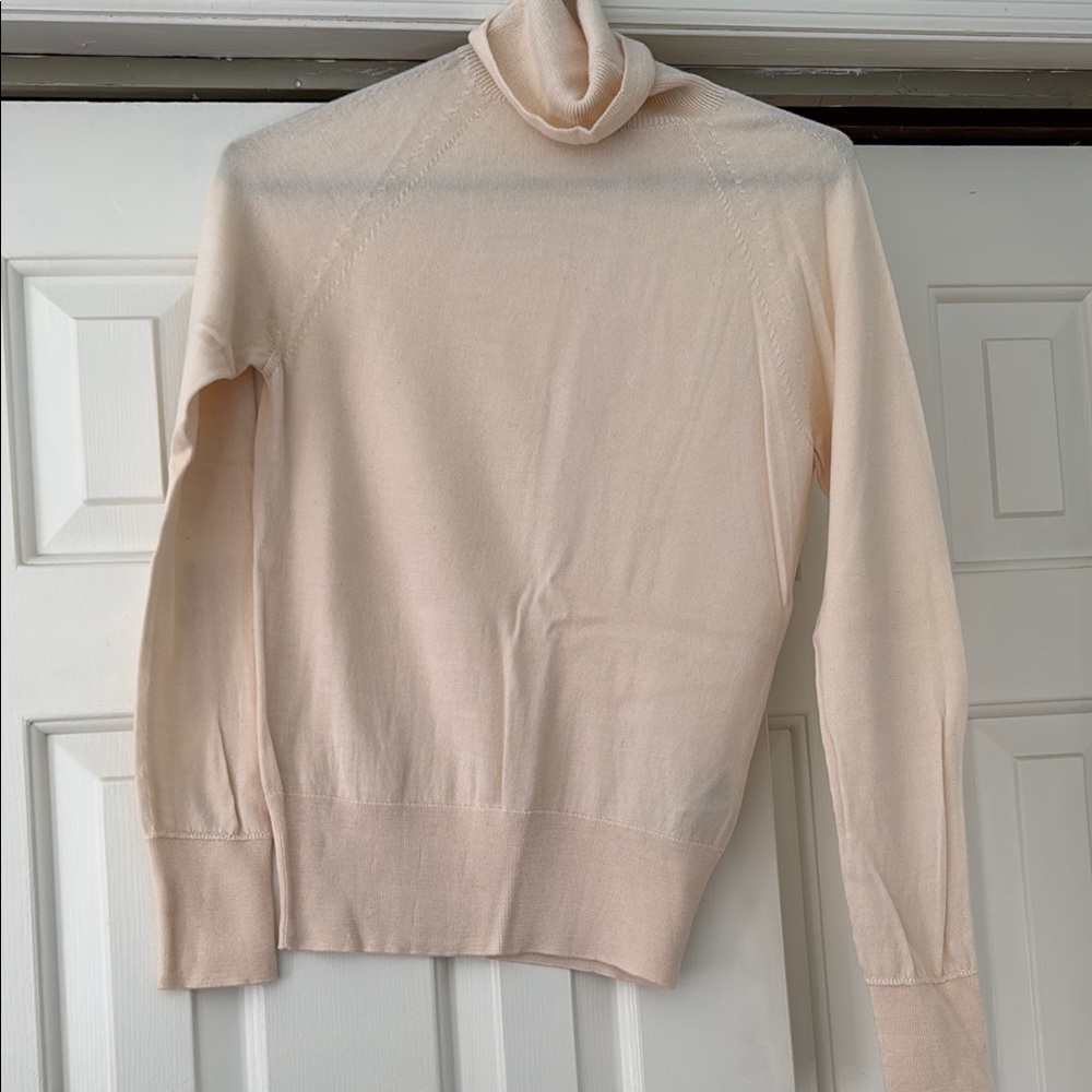 Banana republic wool turtleneck sweater